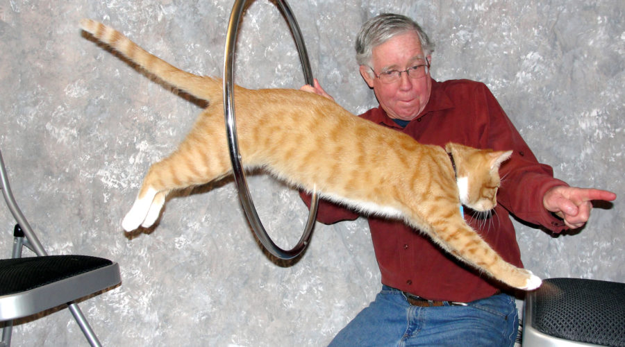 “Beyond Purring: Tricks Your Cat Can Learn” is locked Beyond Purring: Tricks Your Cat Can Learn